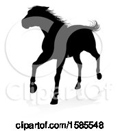 Poster, Art Print Of Silhouetted Horse With A Reflection Or Shadow On A White Background