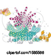 Poster, Art Print Of Group Of Reef Sea Creatures
