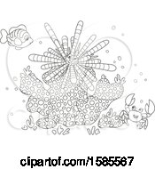 Clipart Of A Lineart Group Of Reef Sea Creatures Royalty Free Vector Illustration