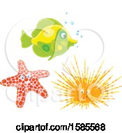 Poster, Art Print Of Fish Starfish And Sea Urchin