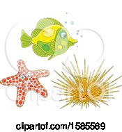 Poster, Art Print Of Fish Starfish And Sea Urchin