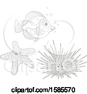 Poster, Art Print Of Lineart Fish Starfish And Sea Urchin