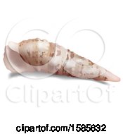 Clipart Of A 3d Sea Shell On A White Background Royalty Free Vector Illustration