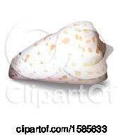 Clipart Of A 3d Sea Shell On A White Background Royalty Free Vector Illustration by dero