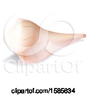 Clipart Of A 3d Sea Shell On A White Background Royalty Free Vector Illustration