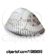 Clipart Of A 3d Sea Shell On A White Background Royalty Free Vector Illustration by dero