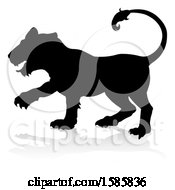 Poster, Art Print Of Silhouetted Lioness With A Reflection Or Shadow On A White Background