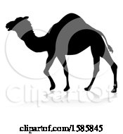 Poster, Art Print Of Silhouetted Camel With A Reflection Or Shadow On A White Background