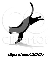 Poster, Art Print Of Silhouetted Landing Cat With A Reflection Or Shadow On A White Background