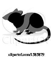 Poster, Art Print Of Silhouetted Rat With A Reflection Or Shadow On A White Background