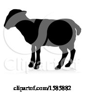 Poster, Art Print Of Silhouetted Lamb With A Reflection Or Shadow On A White Background