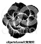 Poster, Art Print Of Black And White Engraved Rose Flower