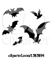 Poster, Art Print Of Silhouetted Vampire Bats