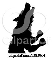 Clipart Of A Silhouetted Werewolf Beast Howling And Transforming Royalty Free Vector Illustration