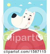Poster, Art Print Of Dog Holding A Frisbee In A Park