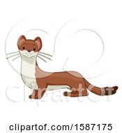 Poster, Art Print Of Cute Stout Or An Ermine