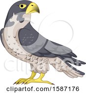 Poster, Art Print Of Falcon Bird