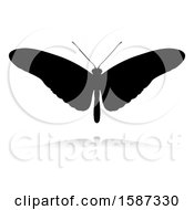 Clipart Of A Silhouetted Butterfly With A Reflection Or Shadow On A White Background Royalty Free Vector Illustration