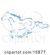 Running Wild Horse In Blue