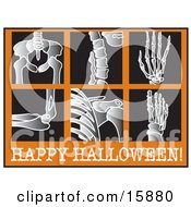 Poster, Art Print Of Series Of Xrays With Text Reading Happy Halloween