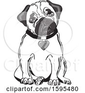 Poster, Art Print Of Cute Sitting Pug With A Heart Collar