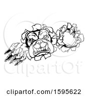 Clipart Of A Black And White Tough Bulldog Monster Sports Mascot Holding Out A Basketball In One Clawed Paw And Breaking Through A Wall Royalty Free Vector Illustration
