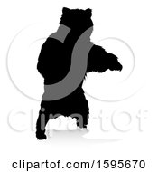 Poster, Art Print Of Silhouetted Bear With A Reflection Or Shadow On A White Background