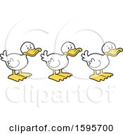 Poster, Art Print Of White Ducks In A Row