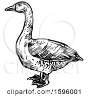 Clipart Of A Sketched Black And White Goose Royalty Free Vector Illustration