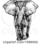 Clipart Of A Black And White Sketched Elephant Royalty Free Vector Illustration