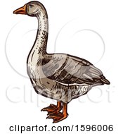 Clipart Of A Sketched Goose Royalty Free Vector Illustration by Vector Tradition SM