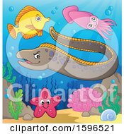 Poster, Art Print Of Spotted Eel And Other Creatures At A Reef