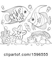 Poster, Art Print Of Lineart Fish