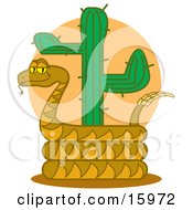 Slithery Rattlesnake Coiled Around A Desert Cactus