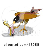 Robin Bird Pecking At An Aggressive Worms Tie Clipart Illustration