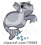 Poster, Art Print Of Cute Little Seal Pup Swimming In Water