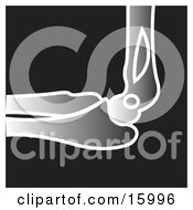Xray Of An Elbow And Forearm Bone Clipart Illustration