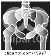 Xray Of A Pelvis Clipart Illustration by Andy Nortnik