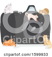 Poster, Art Print Of Giant Camera With Kitty Cats