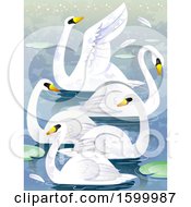 Poster, Art Print Of Group Or Bevy Of Swans