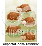 Poster, Art Print Of Group Or Array Of Hedgehogs