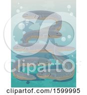 Poster, Art Print Of Group Or Swarm Of Eels