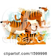 Poster, Art Print Of Group Or Ambush Of Tigers