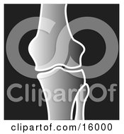 Xray Of A Knee Joint Clipart Illustration by Andy Nortnik