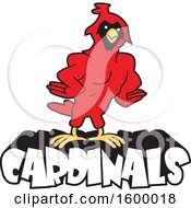 Clipart Of A Muscular Cardinal Bird School Mascot Over Text Royalty Free Vector Illustration