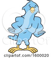 Poster, Art Print Of Muscular Blue Bird School Mascot