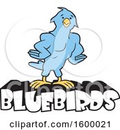 Poster, Art Print Of Muscular Blue Bird School Mascot Over Text
