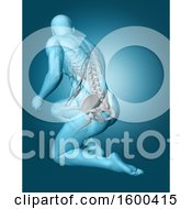 Poster, Art Print Of 3d Anatomical Man Kneeling On The Floor With Visible Skeleton On Blue