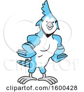 Poster, Art Print Of Muscular Blue Jays Bird School Mascot
