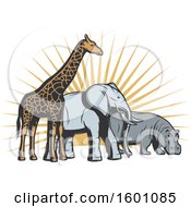 Poster, Art Print Of Giraffe Elephant And Hippo Against Sun Rays